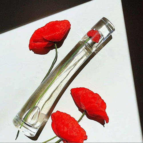 男士香水牌子选购实用,新手入门香水大牌推荐