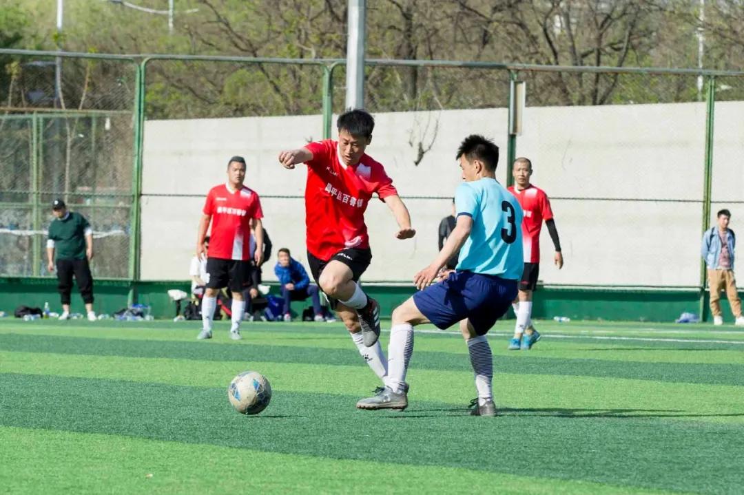 草根球员故事,足球老将的故事简介