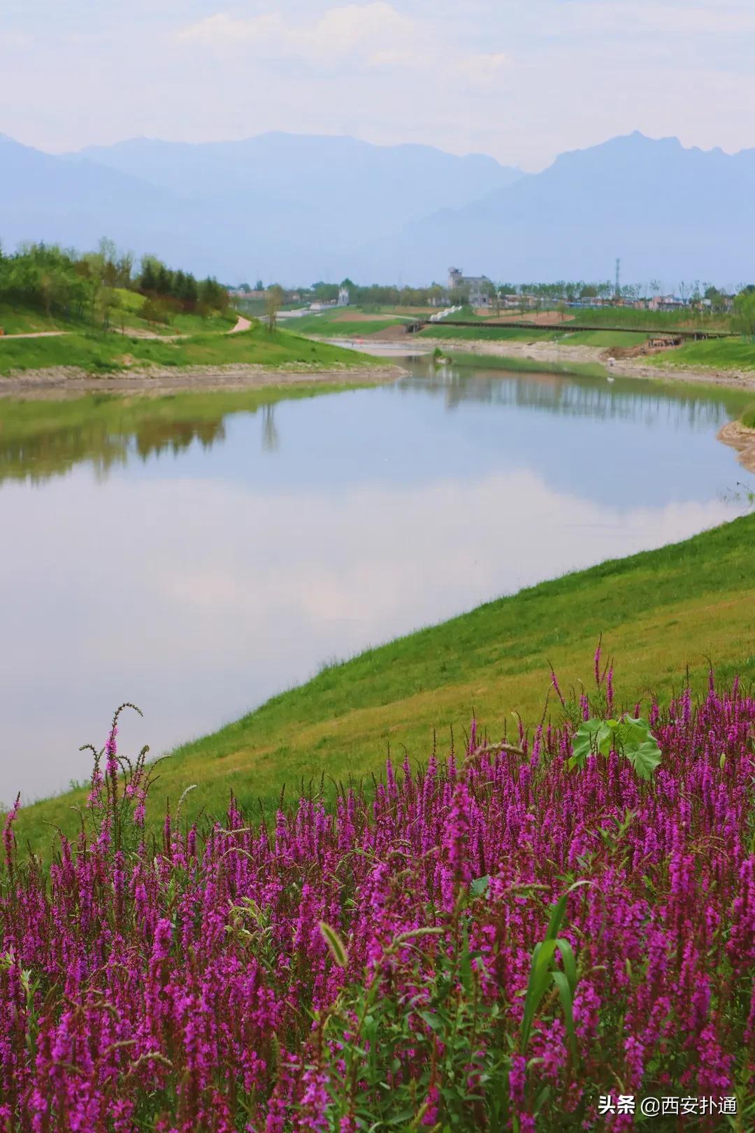 西安大草坪公园推荐,西安有大草坪的公园