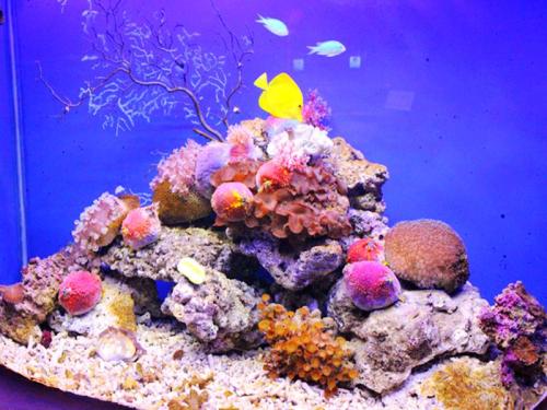 动物园附近周末去哪玩,周末两天亲子游好去处动物园