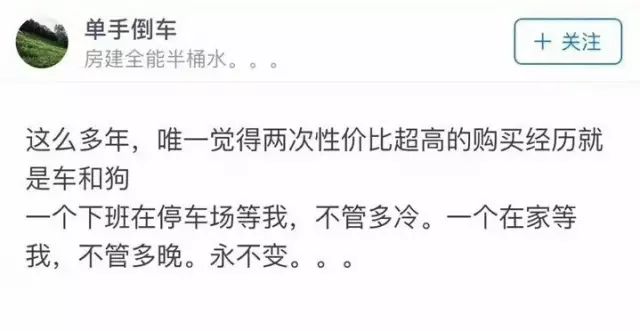 怀孕养狗会生出怪物吗,养狗狗会不会影响怀孕