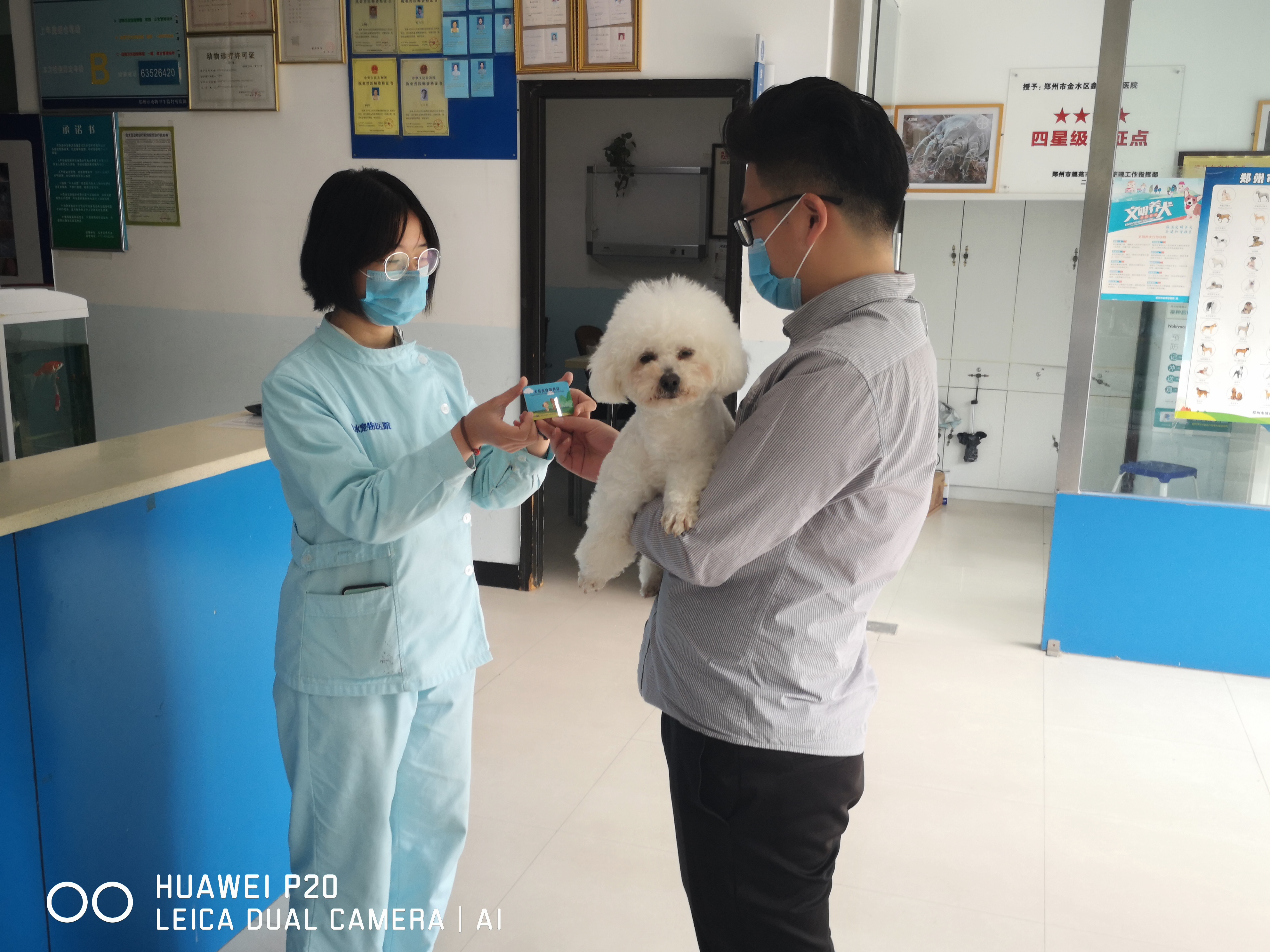 养犬办理狗证的通知,郑州今年犬证年审怎么收费