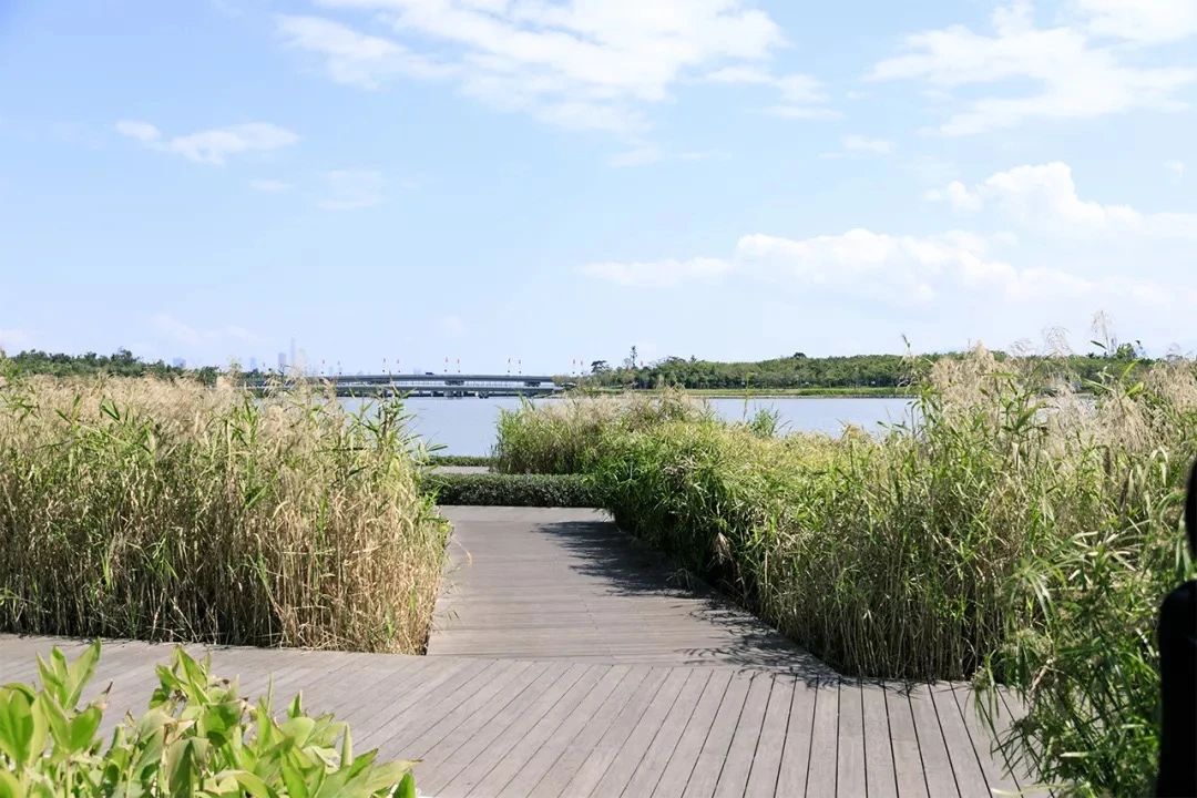 深圳看海去哪里比较好,深圳出地铁就看海的地方是哪里