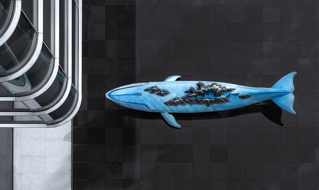 首发|上海黑泡泡：探索简学实义，寻得一方宁“净”