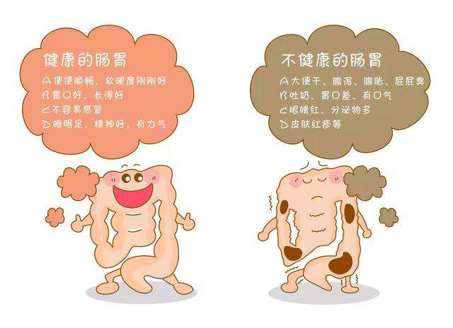 宝宝肠胃不好做什么吃,宝宝肠胃不好可以吃什么药