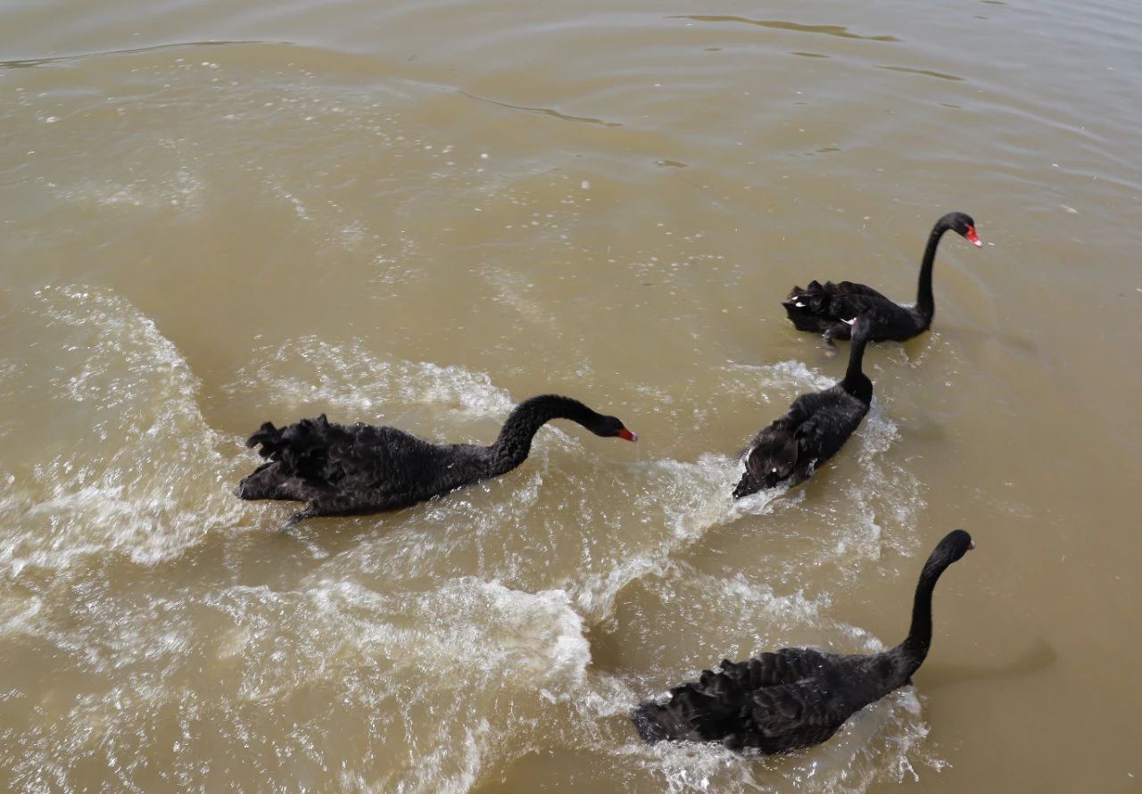 山东王屋湖国家湿地公园,山东最美湿地公园