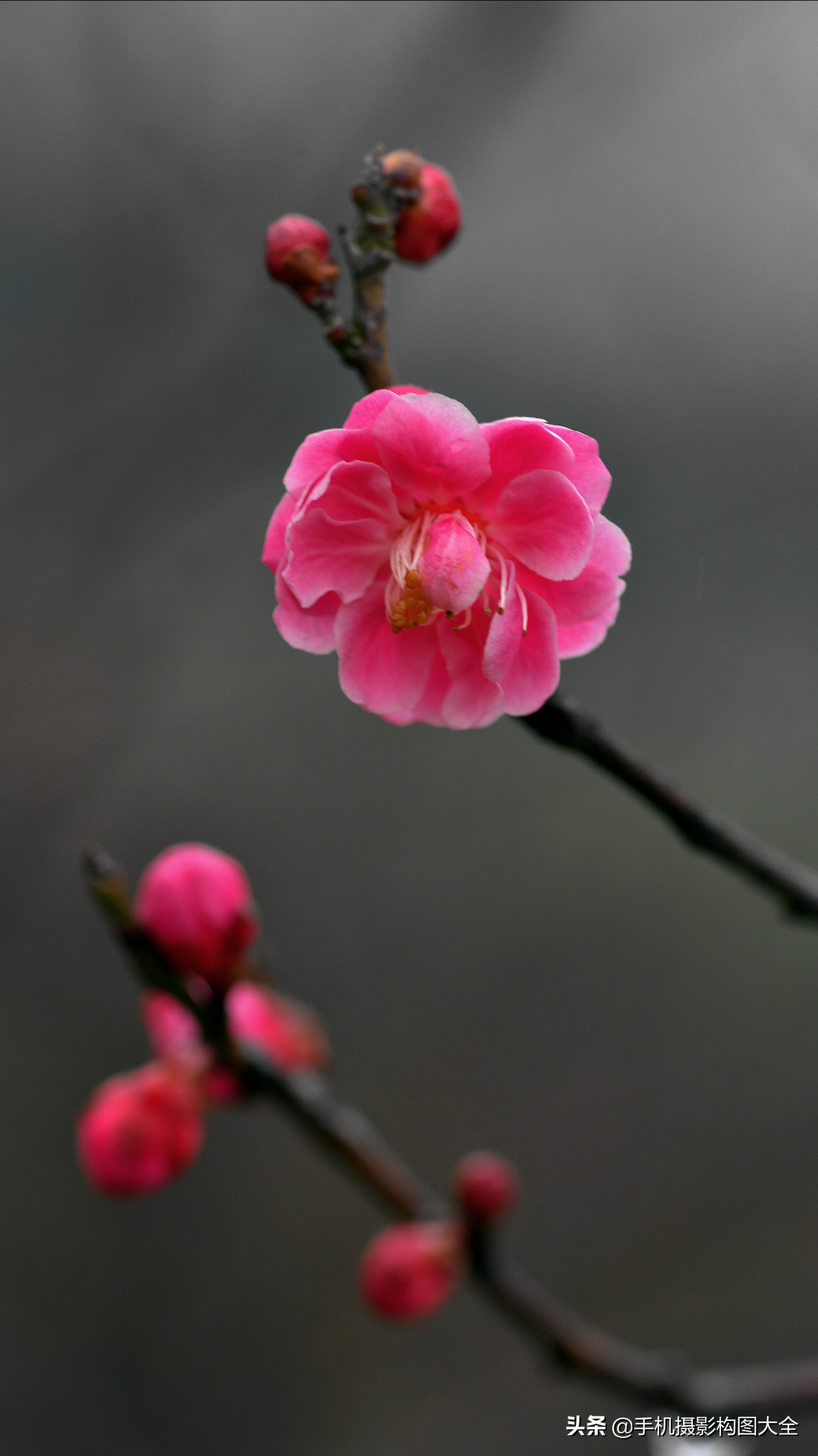 把你的相片做成动态图片,试试你的照片动漫效果