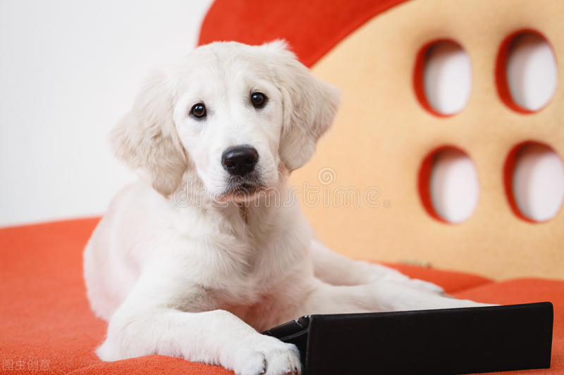 每一位宝贝的终极顽固分子“皮肤病”