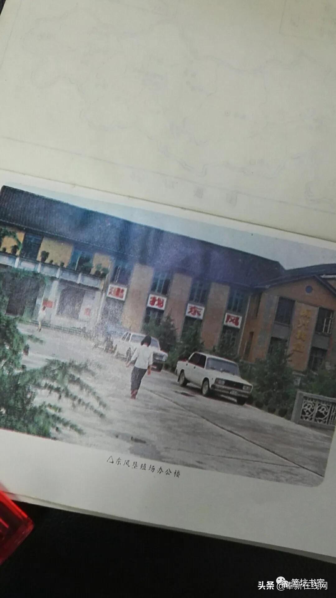 东风垦殖场历史,宜春市奉新县东风垦殖场