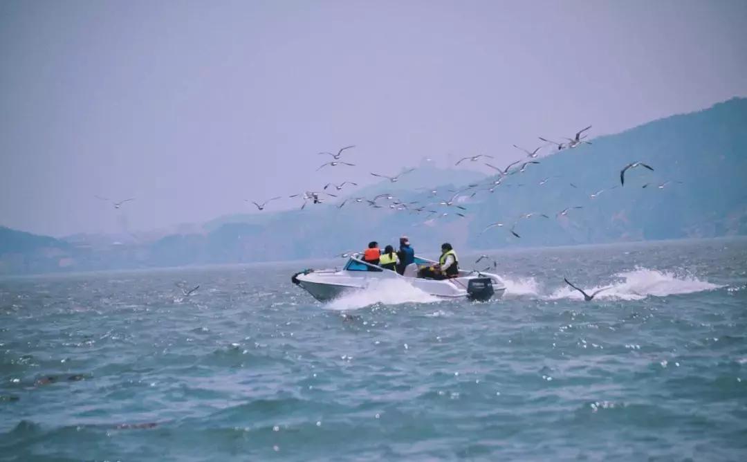 北方冬季适合吃的海鲜,北方冬天适合去的海滨小城