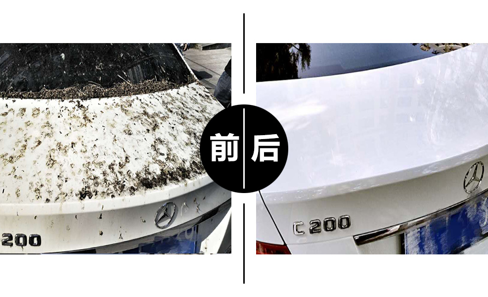 看到视频的你会想到什么,看见pdd就想笑