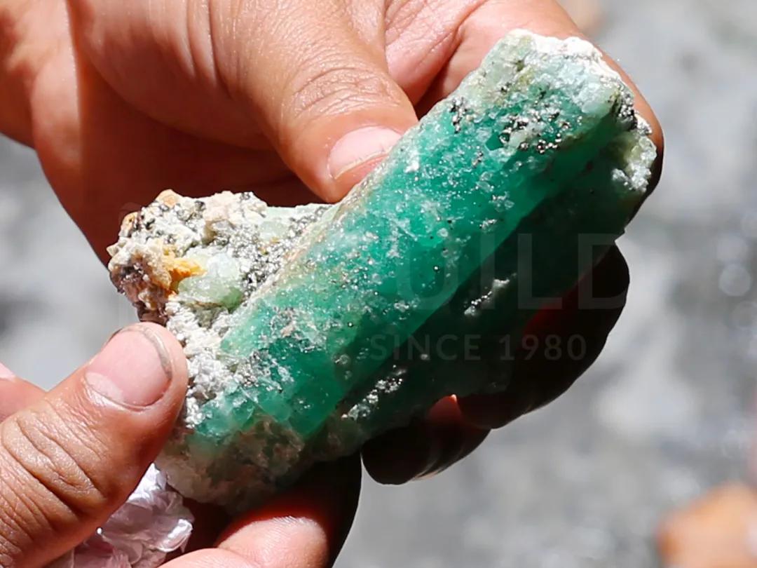 看直播解锁才艺,看直播开宝箱打卡挣金币