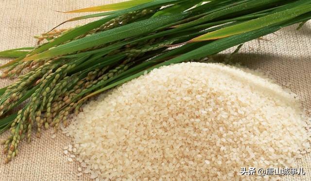 我叫唐山！请您听我说……