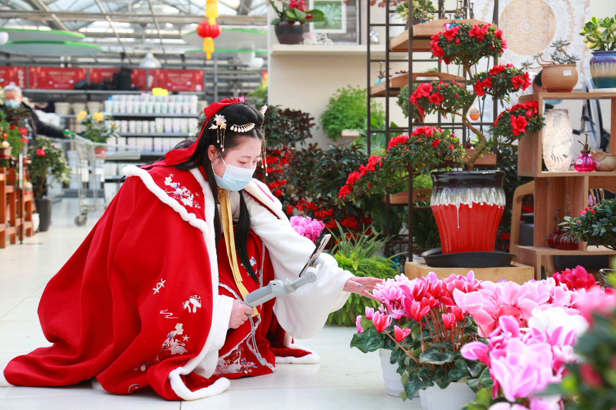 买年花添年味丰台花乡花木集团打出线上线下销售组合拳