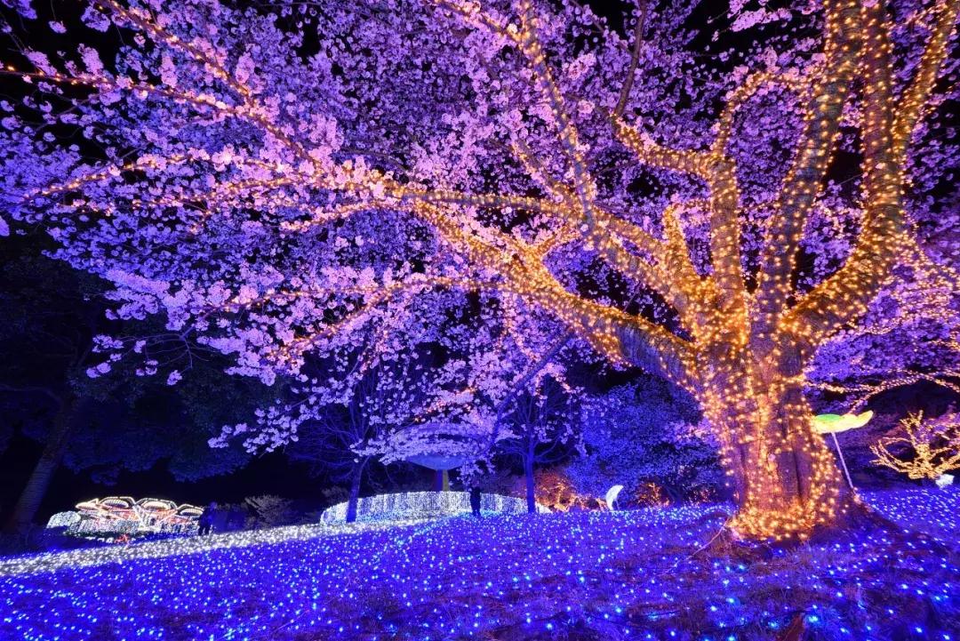 【提醒】LED灯可诱发失明?关于蓝光危害,这些人务必当心!