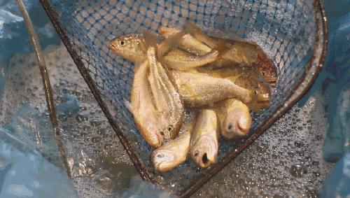 被浙江私藏的小城有多美,宁波最隐藏的海岛