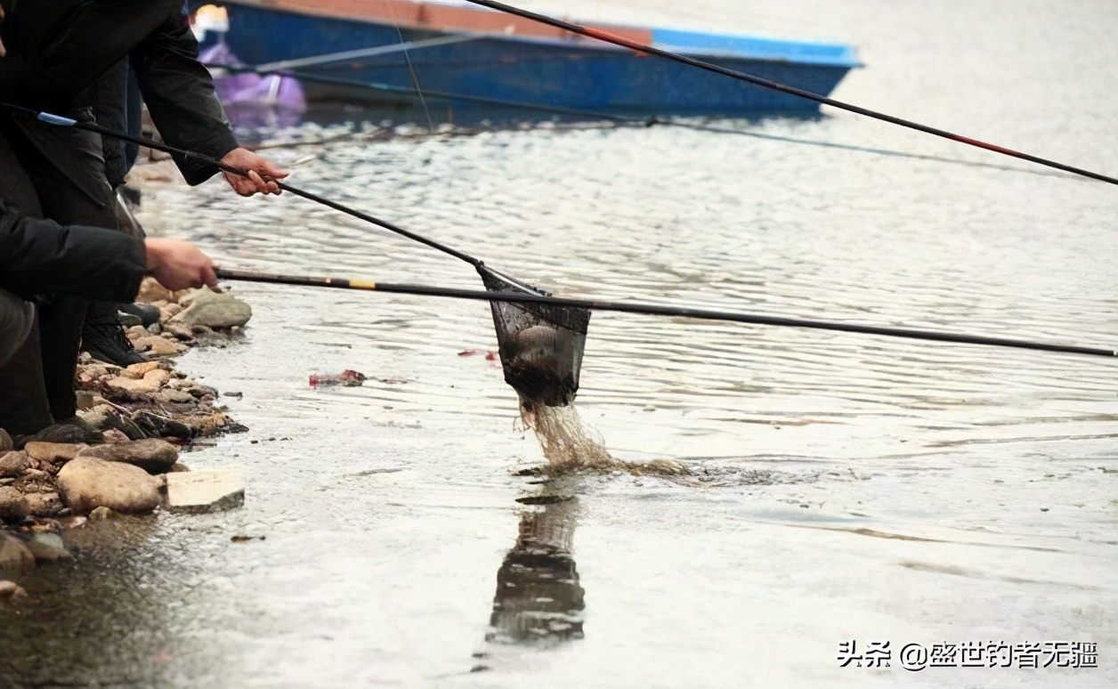 冬季传统钓朝天钩用几号线组合适,贾老抠冬季钓回锅鱼线组最佳搭配