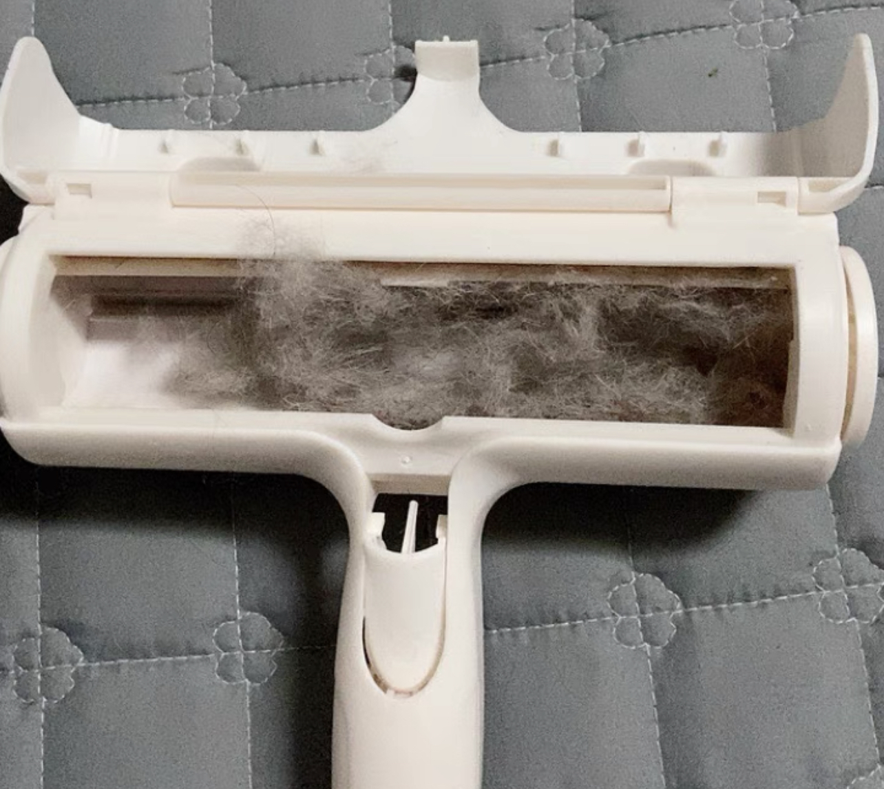 屋里毛毛灰尘很多怎么处理,为什么屋子里灰尘毛絮多