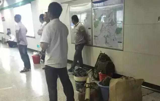 这才是董卿真实的样子,董卿跪地为什么获得网友的称赞