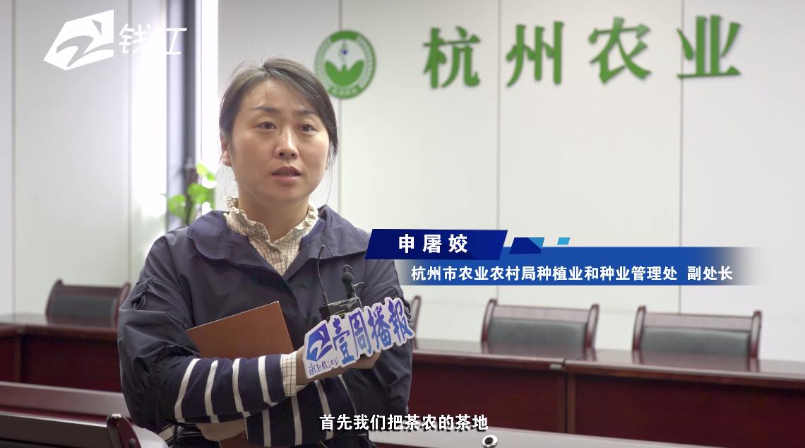 浙江电视台一周播报,浙江壹周播报