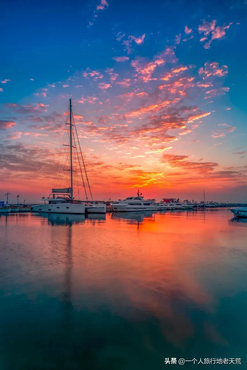 北方这座海滨老城，樱花不输日本，浪漫更胜巴黎
