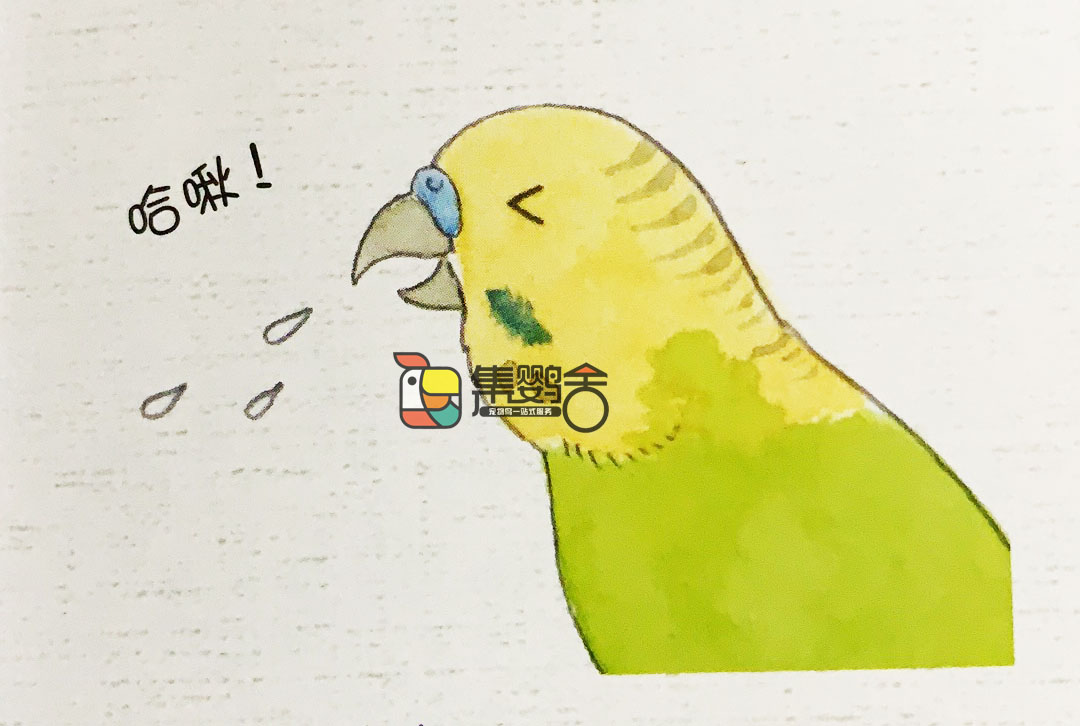 鹦鹉预防肠道疾病,鹦鹉常见疾病预防控制药方