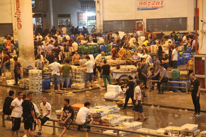 一年一度的开渔季,开渔季味蕾狂欢之旅