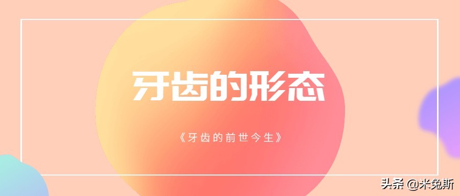 大家牙齿发育的怎么样,大家牙齿都长什么样