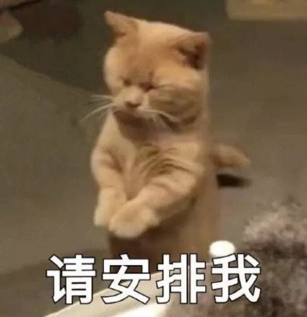 韩国服兵役过程逃兵役后果,韩国逃兵役增肥