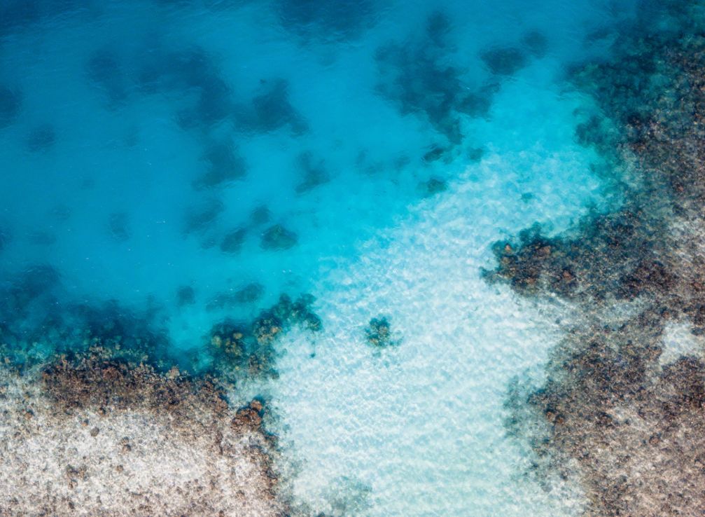 宜贷网2023年最新消息,宜贷网开启一次性兑付