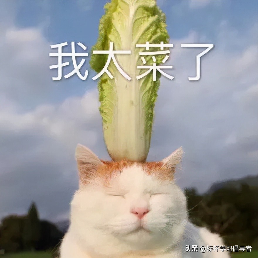 今天菜价比肉贵,今年菜价为什么比肉贵