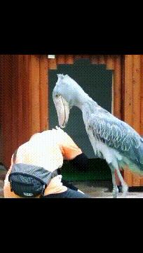 每日一笑看完你能不能忍住不笑,每日一笑看了让你笑