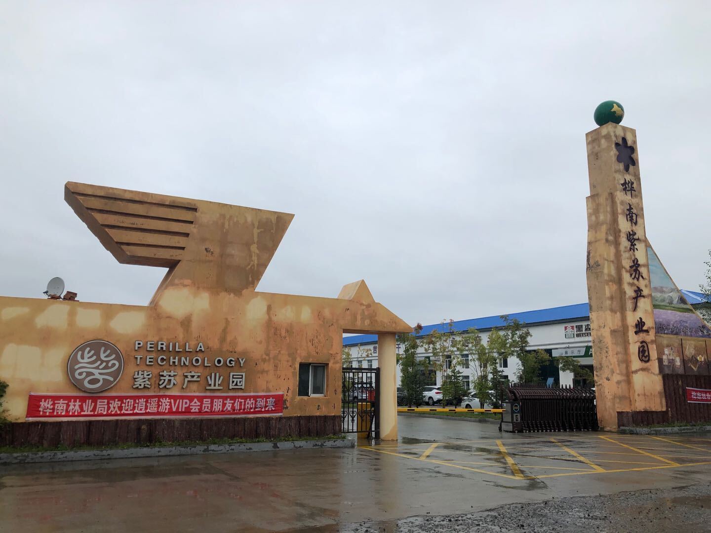 黑龙江省29种道地药材,黑龙江道地中医药材