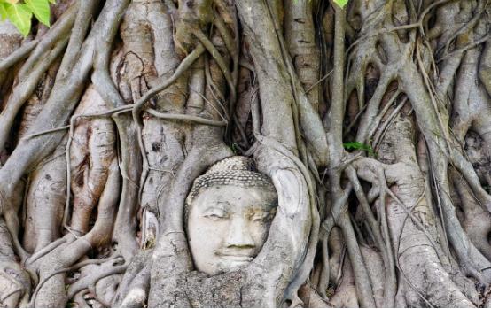在泰国生活或学习是怎样的体验,泰国生活的真实感受
