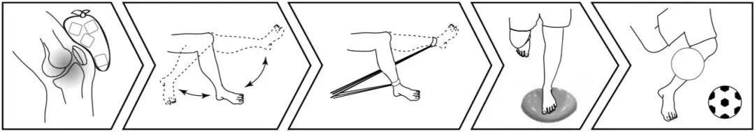 肌骨康复研究常用方法,肌骨康复入门书籍