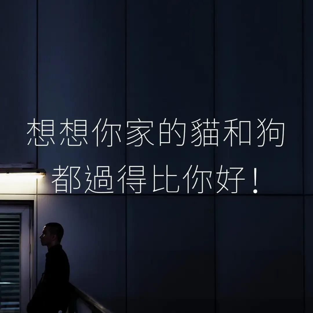 台湾一超市设计80则海报文案,只为把网友弄哭:现在哭,最划算