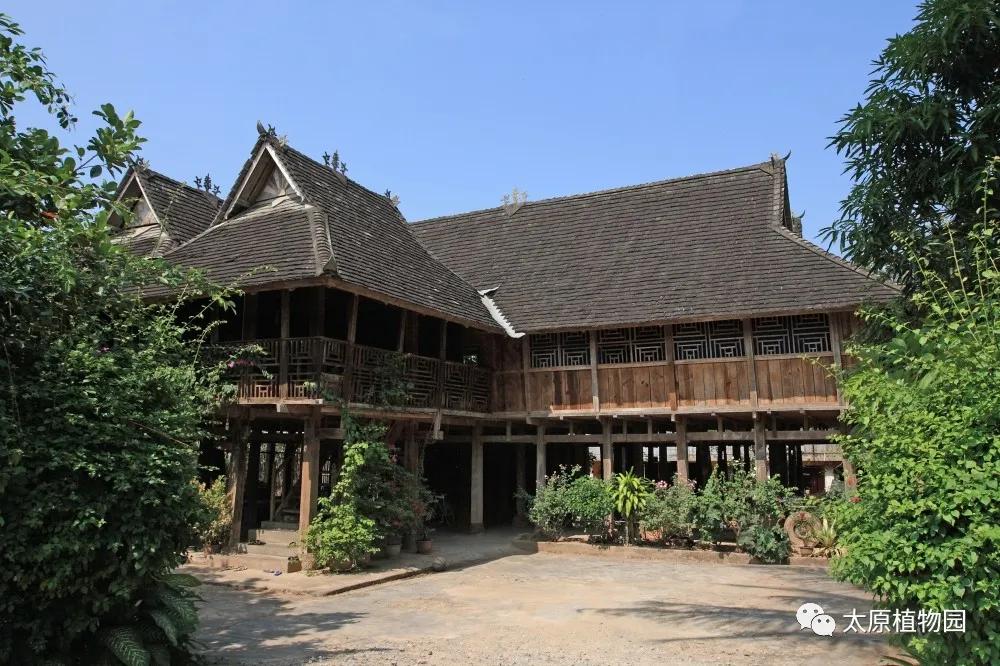 国庆黄金周｜开启植物园奇趣畅游之旅