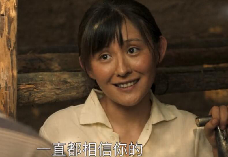 山海情结束后的感受,山海情追剧