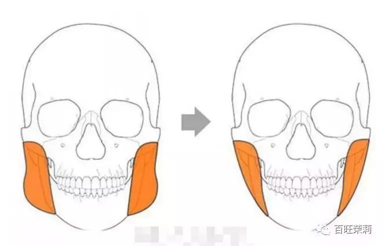 很想瘦但没瘦却只练出了马甲线,瘦到有马甲线还有胸吗