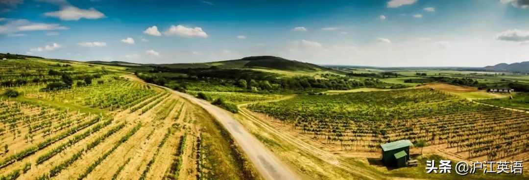 这个国出产邓文迪的前男友、不存在的热门景点，饮食堪称欧洲川菜