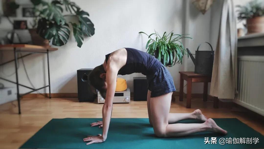一套适合晨练的瑜伽序列越练越美,初学者简单瑜伽每天必练8个动作