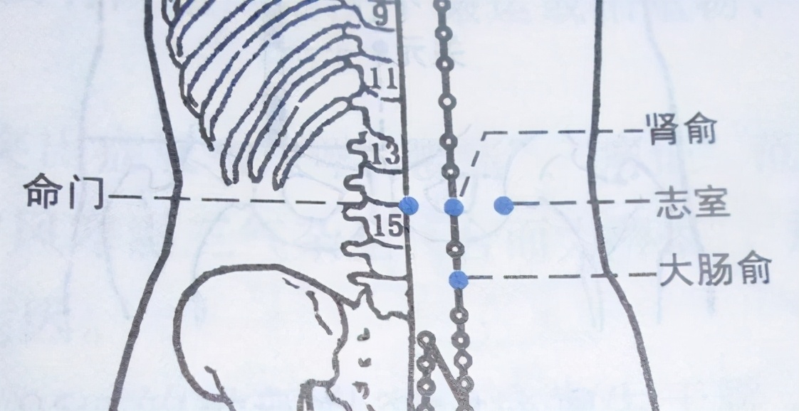 按摩眉毛的穴位有什么功效,中医养生按摩穴位视频