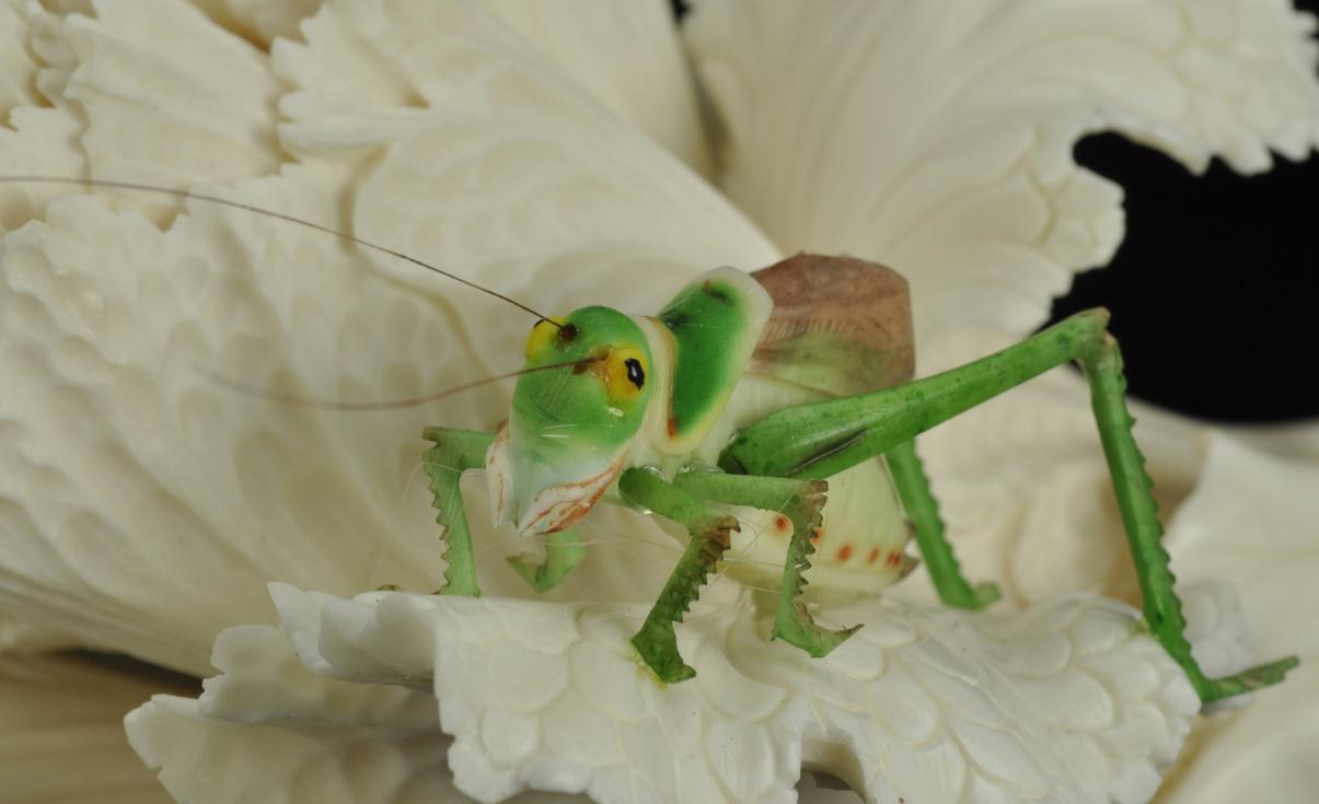 通过养蝈蝈怎么赚钱,养蝈蝈一年利润