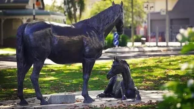 新西兰tauranga旅行,新西兰旅行到底要花多少钱