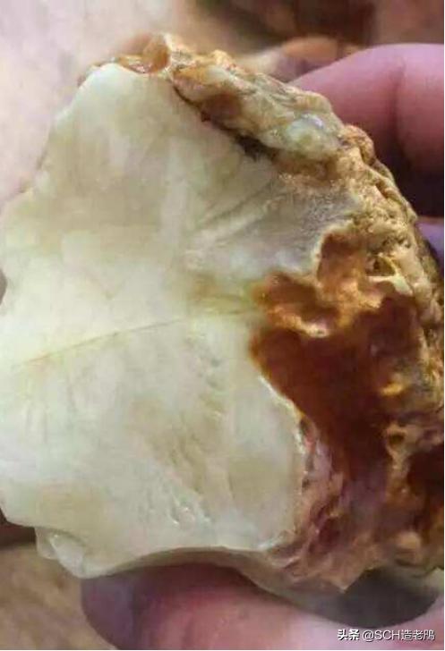 关于琥珀形成的资料,琥珀的种类及介绍