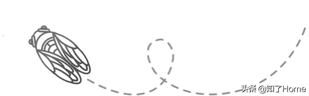 Z时代的斜杠青年全情付出理想作“办”