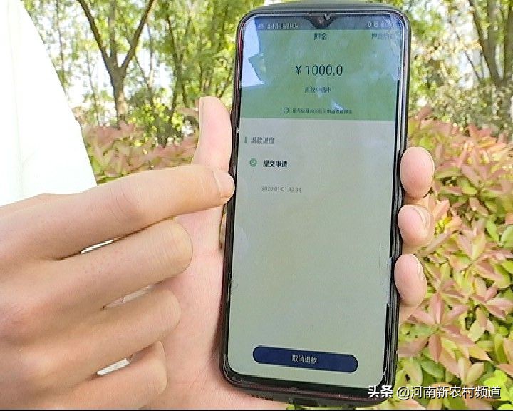 广州盼达用车押金不退怎么解决,盼达押金一直不退怎么办