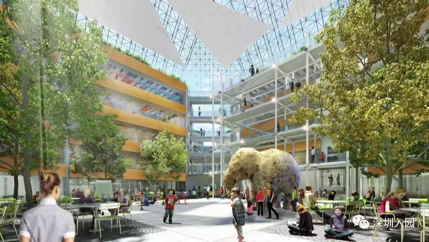 深圳国际幼儿园费用都有哪些,这所深圳国际学校究竟有多硬核