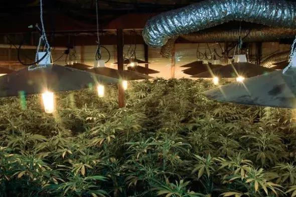 纽约蓝光后，加拿大天空呈罕见火红色光芒，形似恐怖片现场