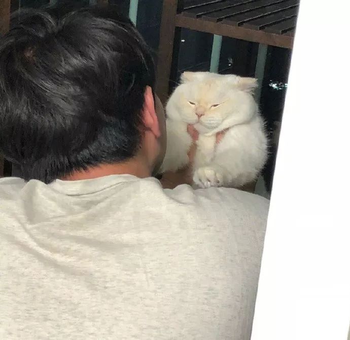 铲屎官请自重图,铲屎官请自重